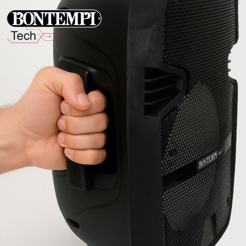 Głośnik z Mikrofonem Karaoke Bontempi Plastikowy 25 x 39 x 21 cm (2 Sztuk)