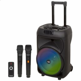 Głośnik z Mikrofonem Karaoke Bontempi Plastikowy 34 x 50 x 29 cm (2 Sztuk)