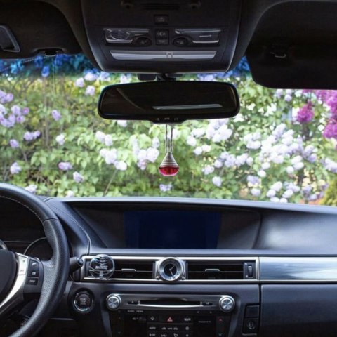 Odświeżacz powietrza do samochodu Dr Marcus Wood Guma do żucia Wisiorek