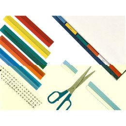 Folder Esselte Wielokolorowy