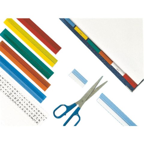 Folder Esselte Wielokolorowy