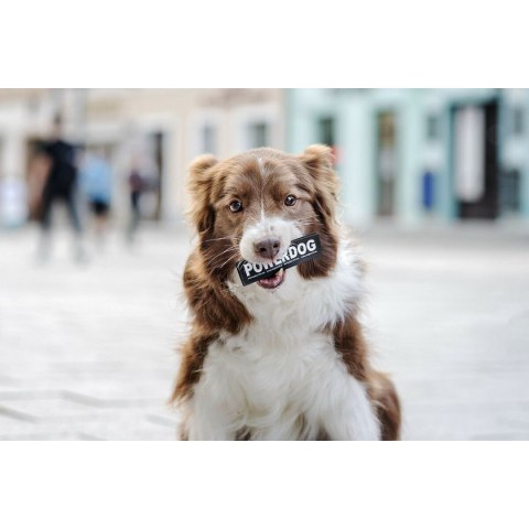 Etykiety na uprząż Julius K9 DON'T TOUCH S Biały Czarny (2 Sztuk)