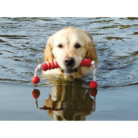 Gryzak dla psa Trixie 42 cm