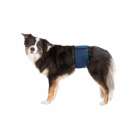 Ochrona na Nietrzymanie moczu Trixie 45-55 cm Kontakt Męski Brzuch