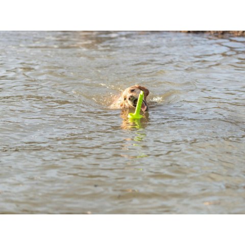 Gryzak dla psa Trixie 29 cm