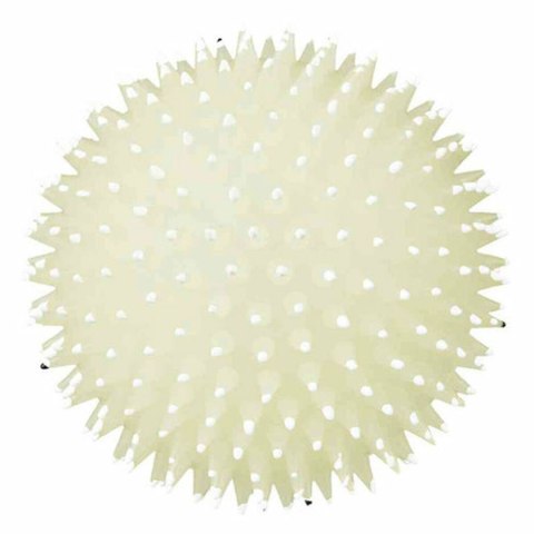 Zabawka dla psów Trixie Piłka