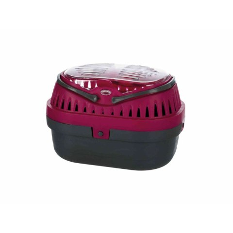 Transporter Trixie Plastikowy 18 × 12 × 13 CM