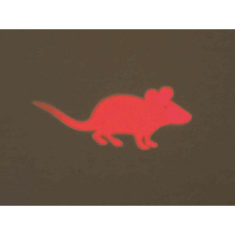 Wskaźnik laserowy Trixie