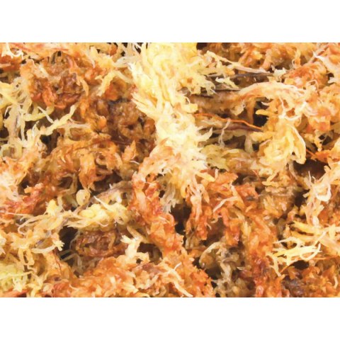 Substrat Trixie mech