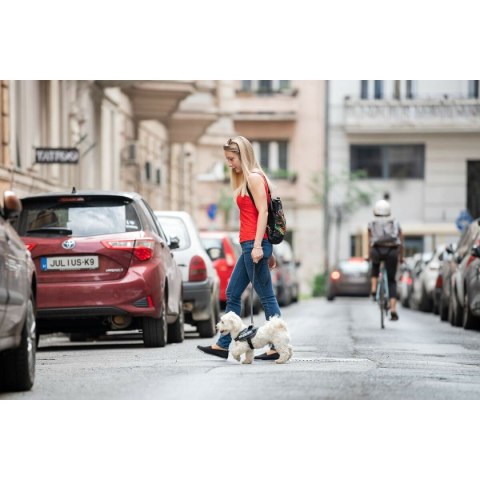 Szelki dla psa Julius K9 IDC Kowboj 2 Baby 2 (XS/S)