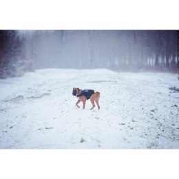 Szelki dla psa Julius K9 IDC L/XL 2