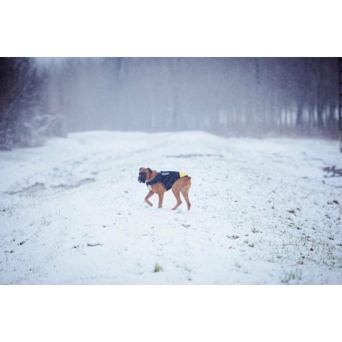 Szelki dla psa Julius K9 IDC L/XL 2