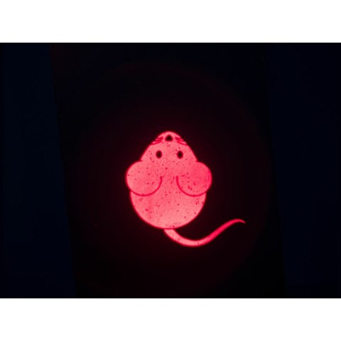 Wskaźnik laserowy Trixie