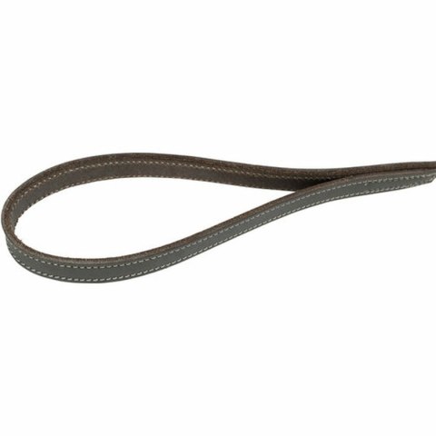 Smycz dla psa Trixie Szary 1 m L/XL