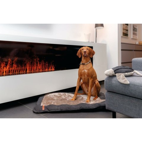 Obroże treningowe dla psów Trixie Be Nordic Czarny Piasek S/M 40 cm