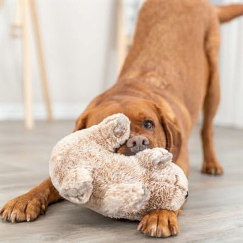 Zabawka Pluszowa dla psa Trixie Poliester Plusz Koala 25 cm