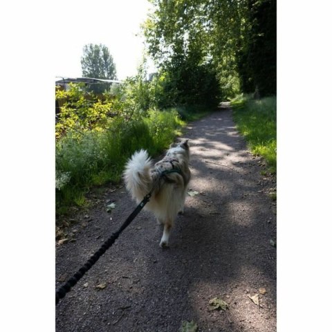 Smycz dla psa Czarny