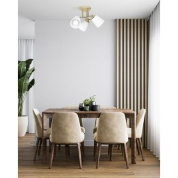 Wbudowana żarówka Activejet AJE-EMILY 3P GD 120 W