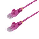 Złącze RJ45 Kategoria 6 FTP Startech N6PAT15MPKS Różowy 15 m