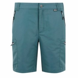 Szorty sportowe Regatta LeesvilleShrtIII Góra - 46