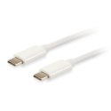 Kabel USB-C na USB-C Equip 128351 1 m Biały