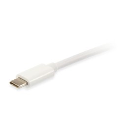 Kabel USB-C na USB-C Equip 128351 1 m Biały
