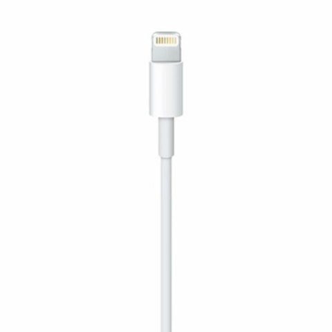 Kabel Lightning Apple ME291ZM/A Biały 50 cm (1 Sztuk)