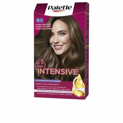 Maska do Włosów Schwarzkopf PALETTE INTENSIVE (1 Sztuk)