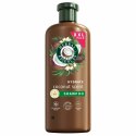 Szampon Nawilżający Herbal Essences Coconut Scent 680 ml