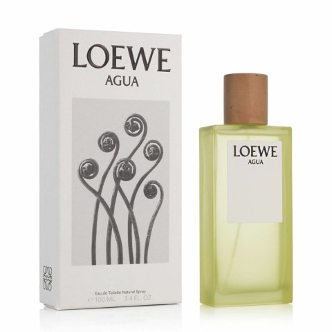Perfumy Męskie Loewe Agua EDT 100 ml