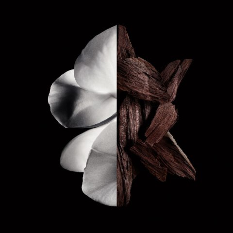 Perfumy Damskie Givenchy Gentleman Boisée 200 ml