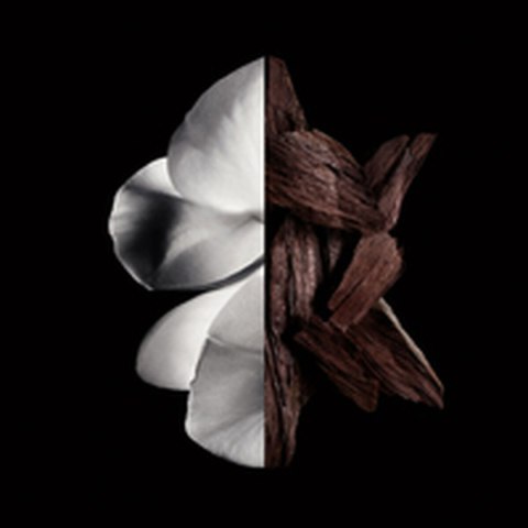 Perfumy Damskie Givenchy Gentleman Boisée 200 ml