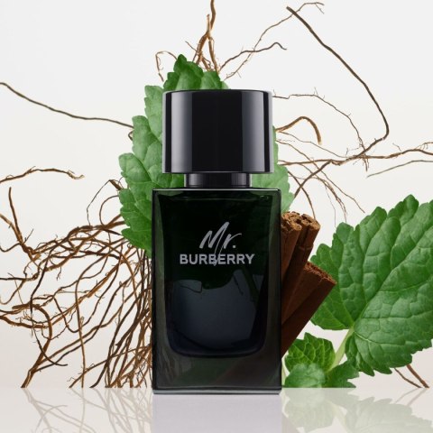 Perfumy Męskie Burberry Mr. Burberry EDP 100 ml