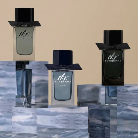 Perfumy Męskie Burberry Mr. Burberry EDP 100 ml