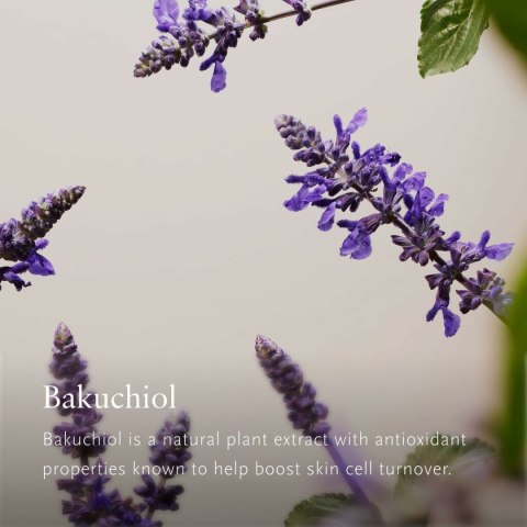 Set Kosmetyczny Rituals THE RITUAL OF NAMASTE 5 Części