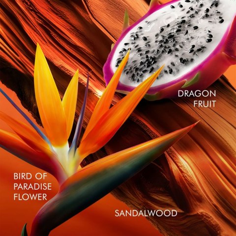 Perfumy Damskie Escada BALI PARADISE 100 ml