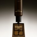 Perfumy Męskie Burberry BURBERRY HERO 200 ml