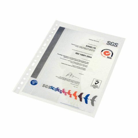 Obudowy Esselte Przezroczysty A4 polipropylen