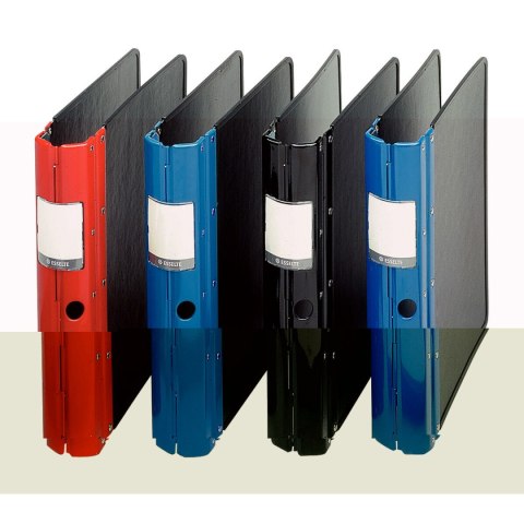 Segregator z szyną Esselte Agrippa Czarny 22 x 30 cm