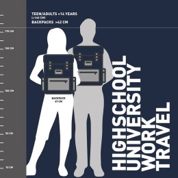 Plecak szkolny Harry Potter Szary