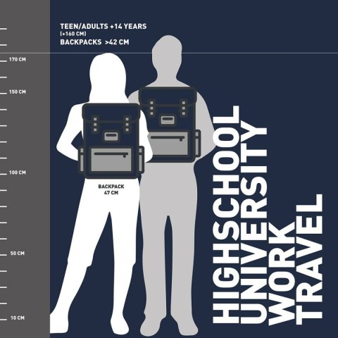 Plecak szkolny Harry Potter Szary