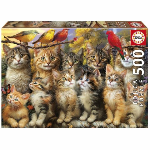 Układanka puzzle Educa Gatitos y Pájaros 500 Części