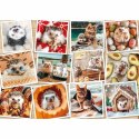 Układanka puzzle Ravensburger Tendresse 1500 Części