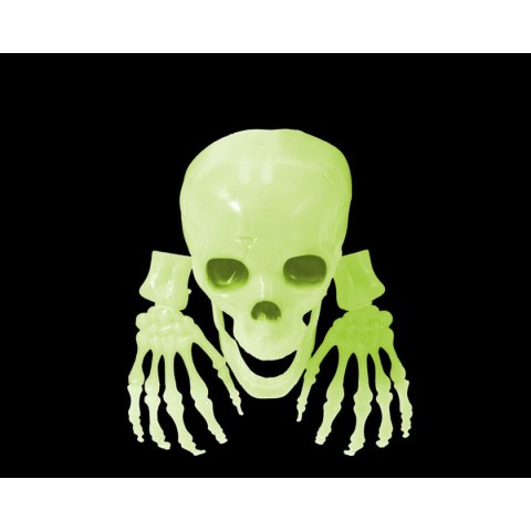 Dekoracje na Halloween Czaszka