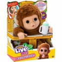 Lalka Bobas Moose Toys My Baby Monkey