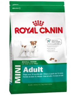 ROYAL CANIN SHN Mini Adult - sucha karma dla psa - 8 kg