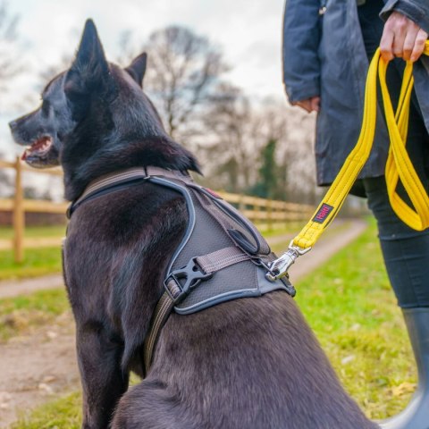 Szelki dla psa Company of Animals L