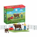 Playset Schleich