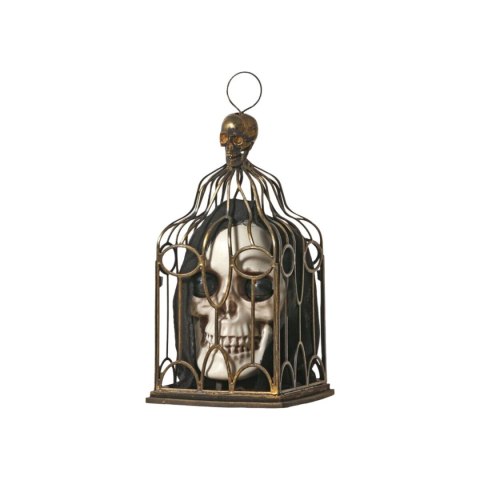 Dekoracje na Halloween Czaszka 33 x 17 x 17 cm Biały