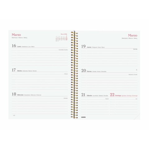 Kalendarz książkowy Finocam DESIGN COLLECTION Goldy A5 15,5 x 21,2 cm 2026